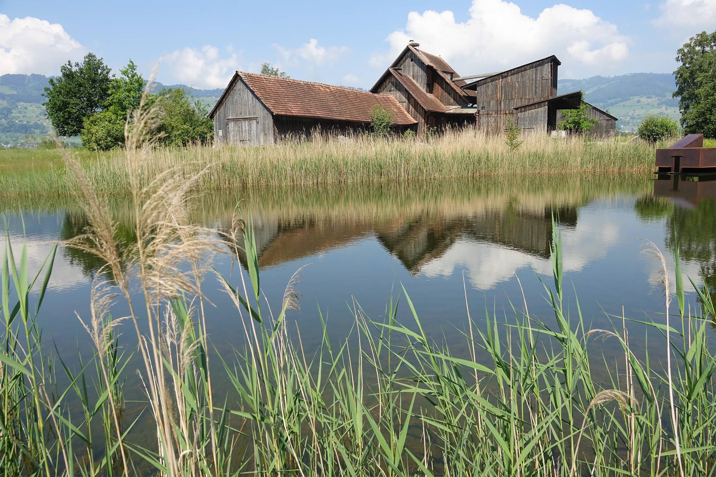 Schollenriet – Schollenmühle